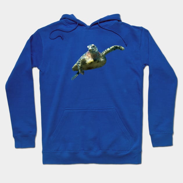 Low poly sea turtle Hoodie by AO01